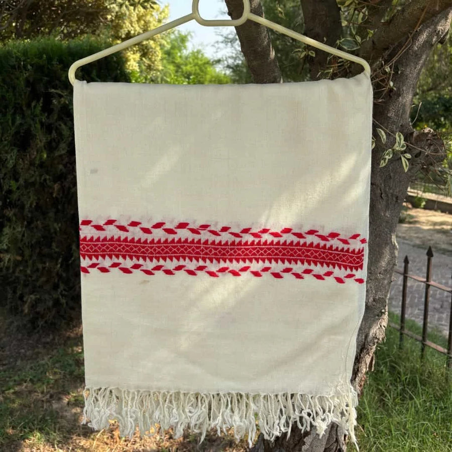 Ladies Off-White Pashmina Shawl with Red Border